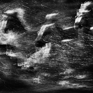 White Rush by David Yarrow
