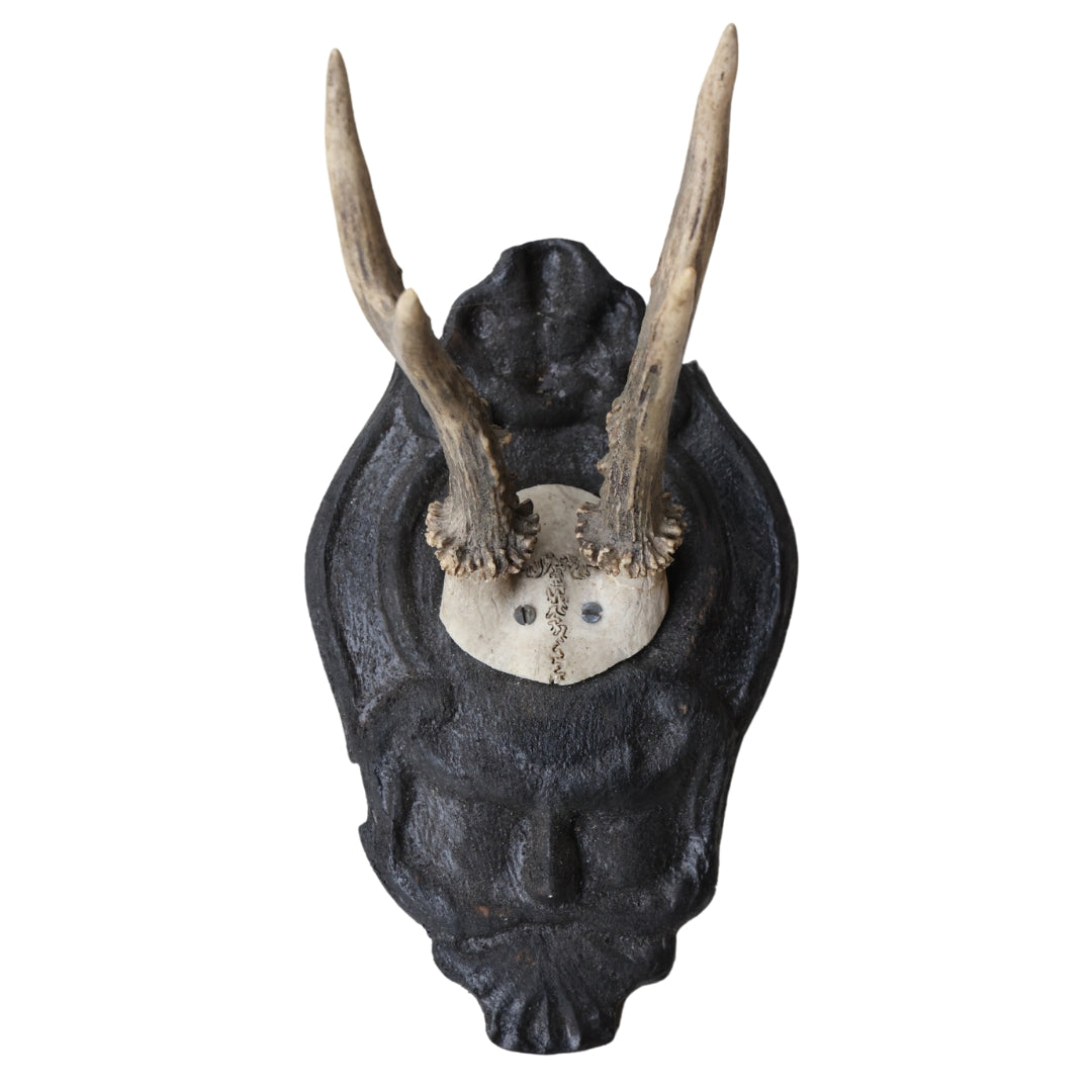 Christopher Collection Roe Deer Mount - Thumbnail 3