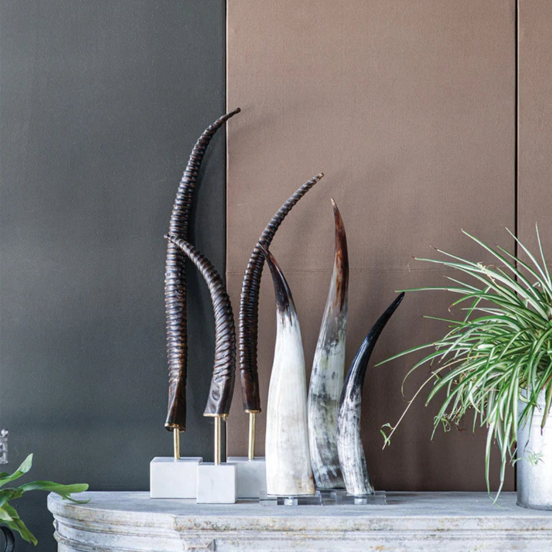 Exotic Horn on Base (Small) - Thumbnail 2