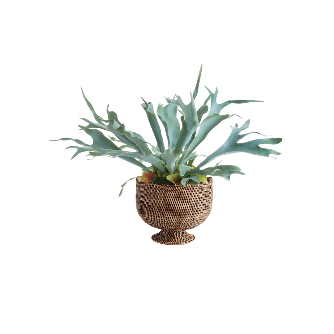 Burma Rattan Footed Cachepot - Thumbnail 5