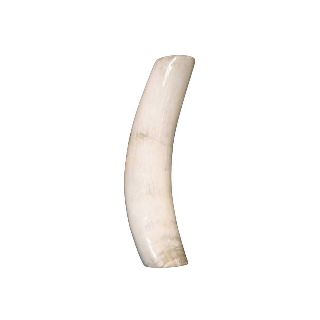 Horn Vase (Large)