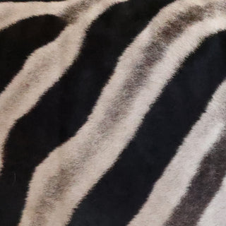 Rectangle Zebra Pillow
