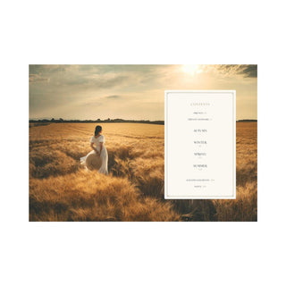 American in Provence
