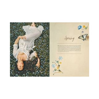 American in Provence
