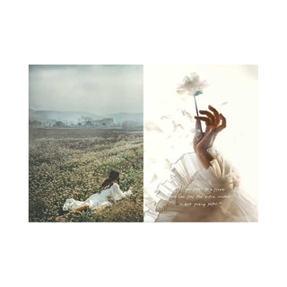 American in Provence
