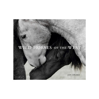 Wild Horses of the West
