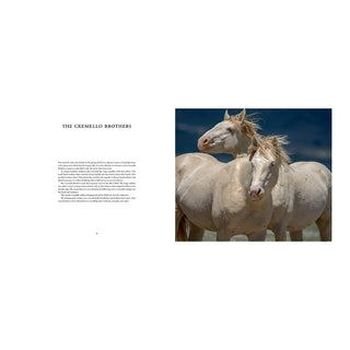 Wild Horses of the West
