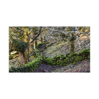 Scotch: The Stories Behind Scotland's Iconic Spirit
