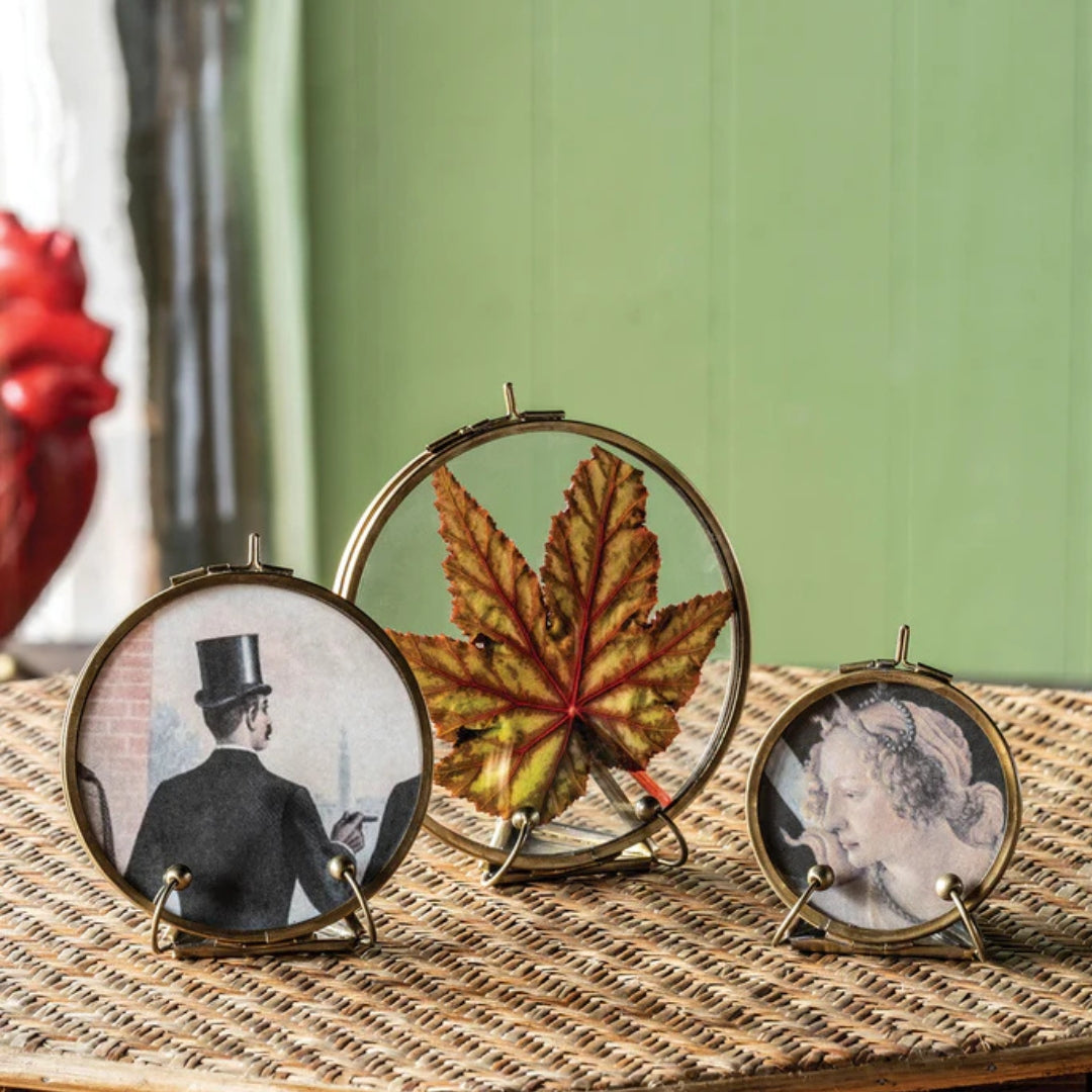 Christopher Collection Botanist Display