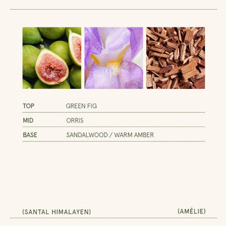 Amelie Santal Himalayen Candle
