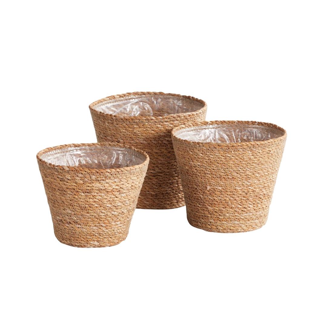 Christopher Collection Seagrass Baskets