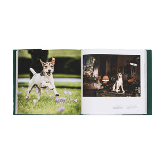Country Life's Book of Dogs
