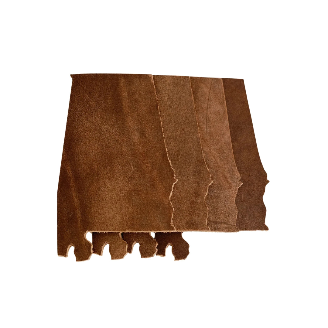 Alabama State Coasters