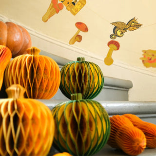 Gourd Honeycomb
