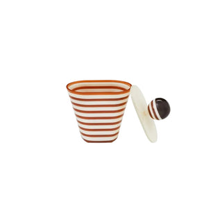 Supernova Elipse Box
