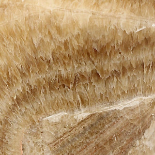 Statuesque Table Lamp
