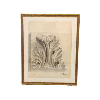 20th Century French Graphite Acanthus Drawing (E)
