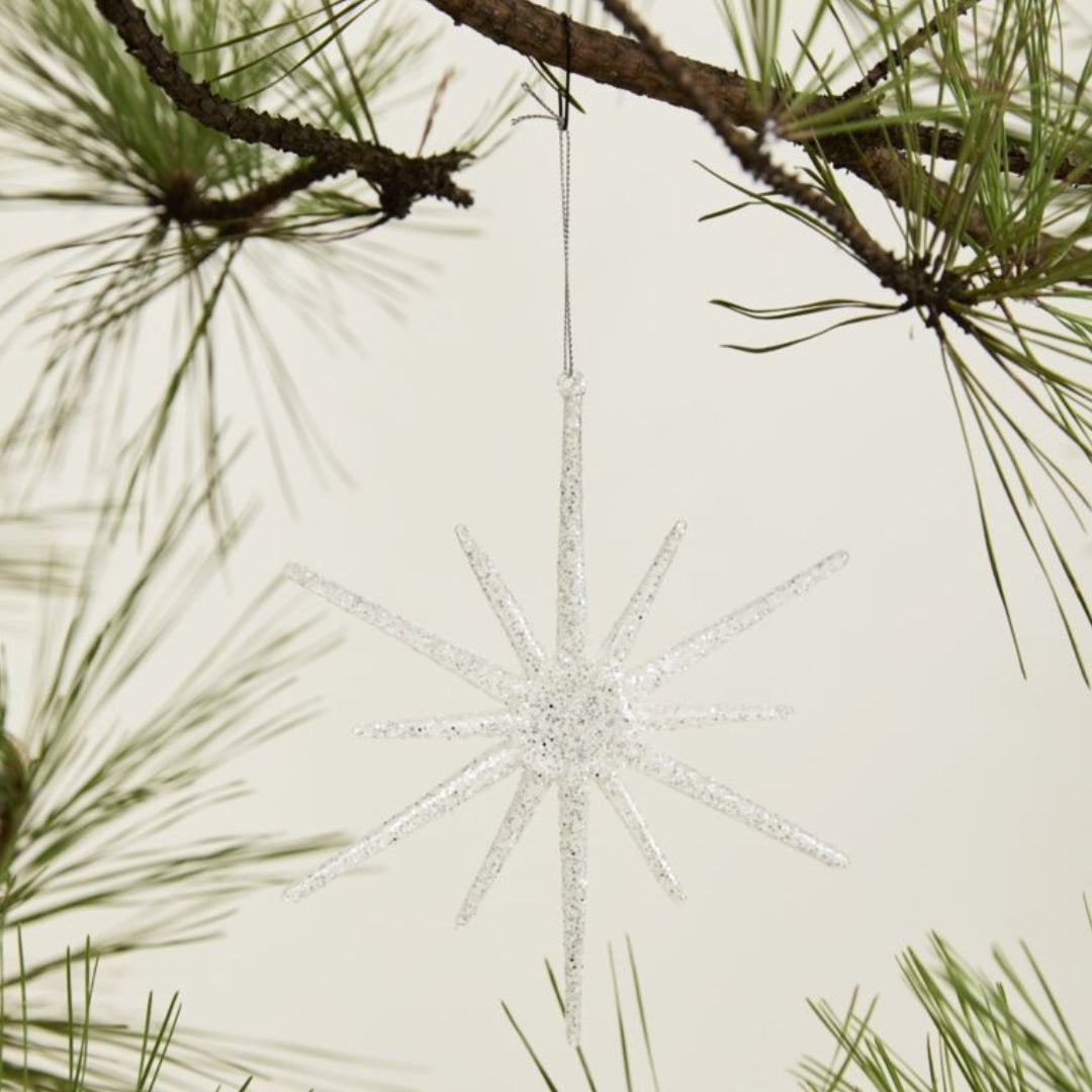 Christopher Collection Star Ornament