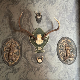 20th Century Black Forest Red Deer Trophy Mount
