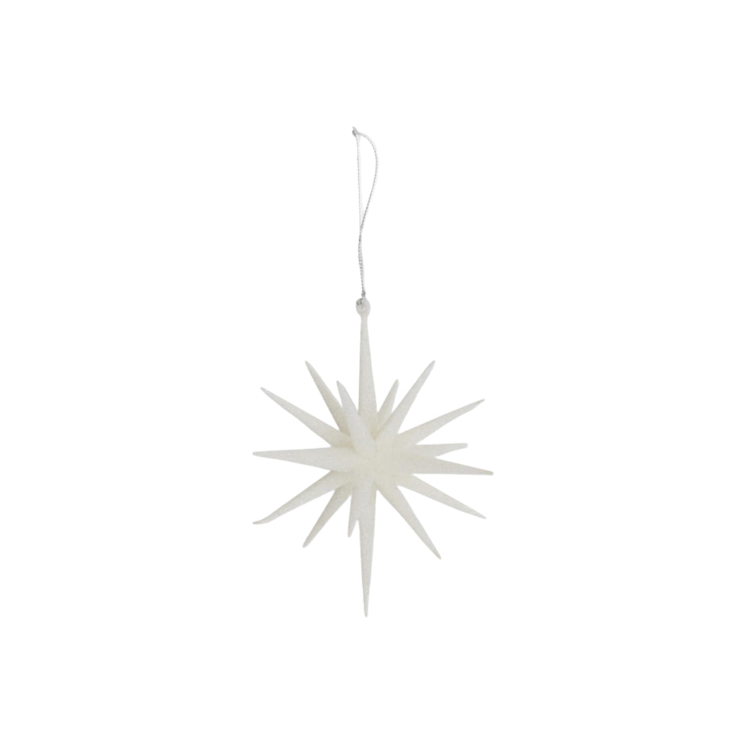 Christopher Collection Star Ornament