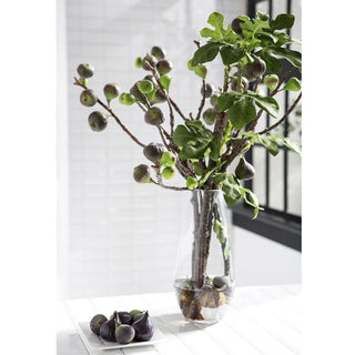 Fig Branches Arrangement in Vase
