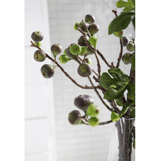 Fig Branches Arrangement in Vase
