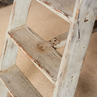 1920s French Oak Library Ladder from the Bibliothque Nationale de Paris
