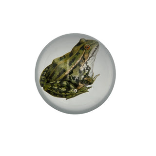 Prince Frog Paperweight
