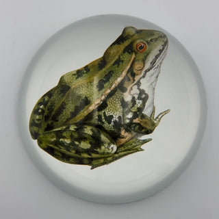 Prince Frog Paperweight

