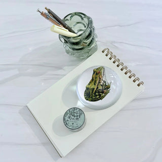 Prince Frog Paperweight
