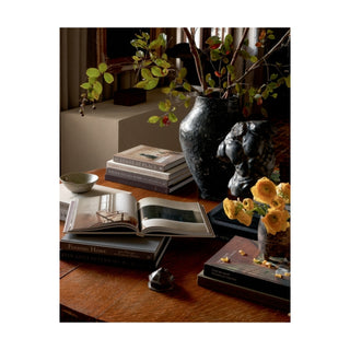 Interior Narratives by Sean Anderson
