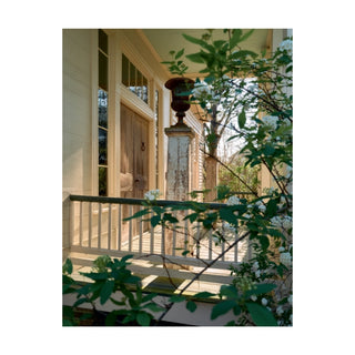 Past Forward: Reviving an Old Southern House with Collections, Antiques, and Passion   Barbara Adkins
