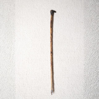 Late 19th Century French Oak Cane with Carved Bird Head Handle
