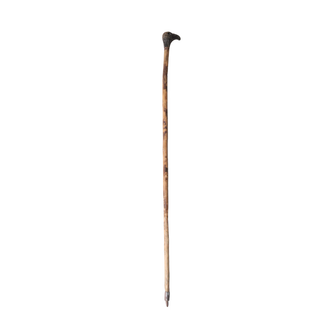 Late 19th Century French Oak Cane with Carved Bird Head Handle
