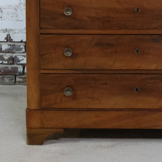19th Century Louis Philippe Solid Walnut Chest
