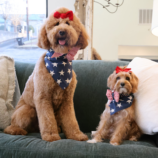 Merica Bow Tie Collar  Large
