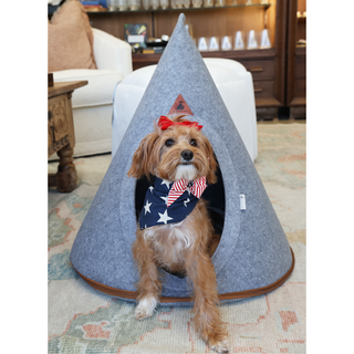 Merica Bow Tie Collar  Small
