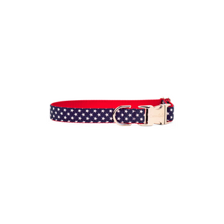 Merica Bow Tie Collar  Medium
