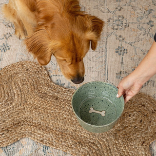Dog Bone Pet Mat, Small
