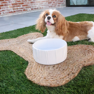 Dog Bone Pet Mat, Small
