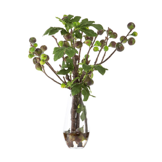 Fig Branches Arrangement in Vase
