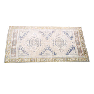 3.10 x 7.8 Area Rug
