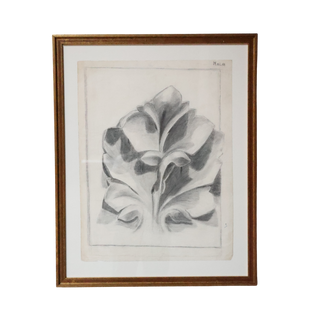 20th Century French Graphite Acanthus Drawing (A)

