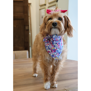 Violet Petals Bandana  Large
