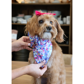 Violet Petals Bandana  Medium
