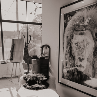 Gandalf by David Yarrow
