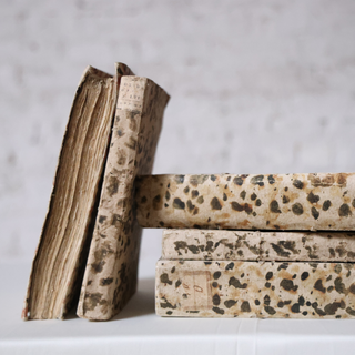 18th Century Venetian Book Collection (Set of 5)
