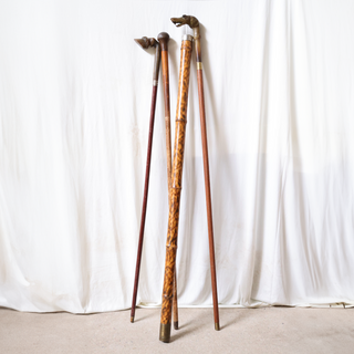 19th Century Dog Head Cane
