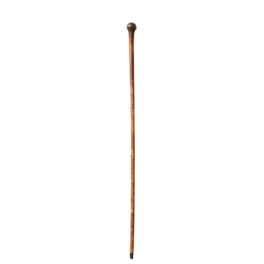 19th Century Sphere Top Cane - Christopher Collection