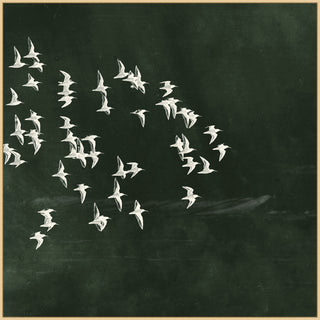 Flight of Passage Diptych
